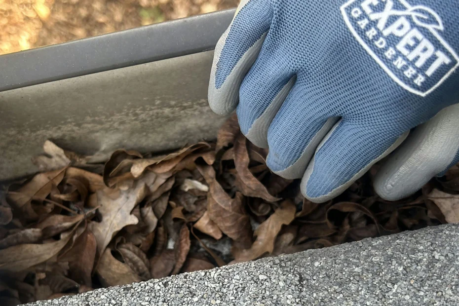 Kansas City Gutter Cleaning