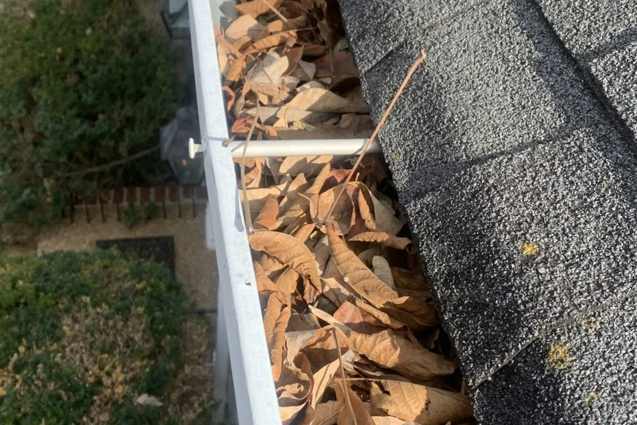 Kansas City Gutter Cleaning